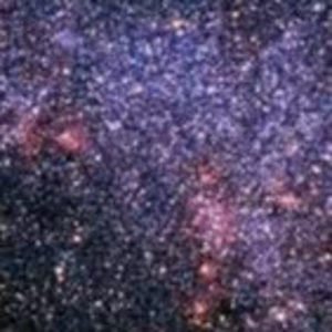 Meet your Posher, Ben